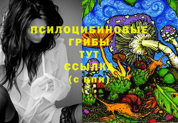 ГАЛЛЮЦИНОГЕННЫЕ ГРИБЫ Михайлов