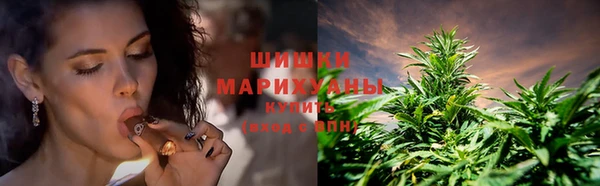 ГАЛЛЮЦИНОГЕННЫЕ ГРИБЫ Михайловка