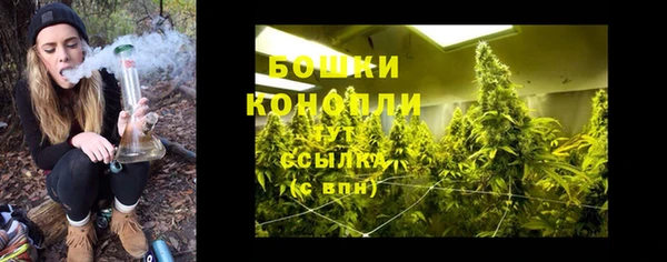 ГАЛЛЮЦИНОГЕННЫЕ ГРИБЫ Михайловка