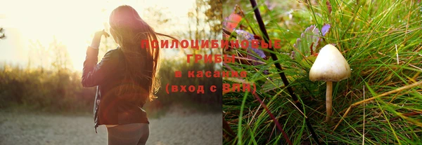 ГАЛЛЮЦИНОГЕННЫЕ ГРИБЫ Михайловка