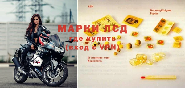 ГАЛЛЮЦИНОГЕННЫЕ ГРИБЫ Михайлов