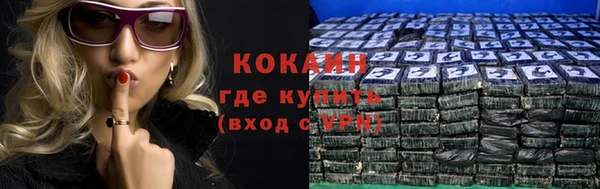 ГАЛЛЮЦИНОГЕННЫЕ ГРИБЫ Михайлов