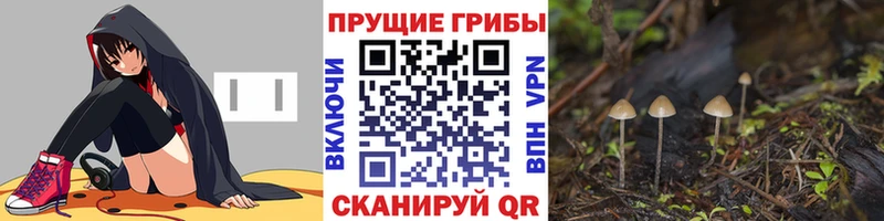 Псилоцибиновые грибы GOLDEN TEACHER  дарнет шоп  Тогучин 